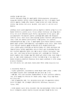 유아교육과정의 구성-6