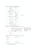 다세대 가족치료 모델의 내용 정리-4