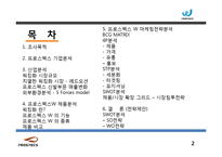 프로스펙스W 마케팅전략분석과 프로스펙스 브랜드분석과 제품분석및 프로스펙스W 마케팅전략 제안-2