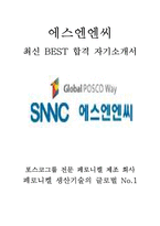 포스코그룹 에스엔엔씨 SNNC 생산직 최신 BEST 합격 자기소개서!!!!-1