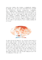 기후난민의 대표적 사례 투발루 문제에 대해서-10