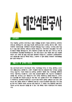 [대한석탄공사-최신공채합격자기소개서]대한석탄공사자소서,대한석탄공사자기소개서,대한석탄공사자소서,대한석탄공사자기소개서,대한석탄공사자소서,대한석탄공사-3