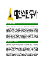 [대한석탄공사-최신공채합격자기소개서]대한석탄공사자소서,대한석탄공사자기소개서,대한석탄공사자소서,대한석탄공사자기소개서,대한석탄공사자소서,대한석탄공사-4