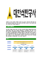 [대한석탄공사-최신공채합격자기소개서]대한석탄공사자소서,대한석탄공사자기소개서,대한석탄공사자소서,대한석탄공사자기소개서,대한석탄공사자소서,대한석탄공사-5