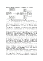 워킹맘의 일, 가정 양립과 갈등 사례-갈등이론(Conflict Theory)을 중심으로-7