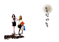 독신가족 현황과 문제점 및 해결방안-1