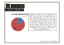 독신가족 현황과 문제점 및 해결방안-9