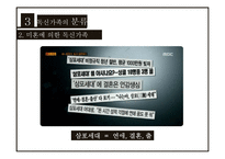 독신가족 현황과 문제점 및 해결방안-11