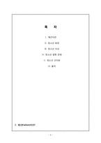 청소년 패션 문화 조사-2