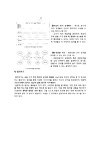 제 10장 과정별 쓰기 지도 방법-8