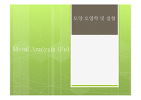 철(Fe) 분석 실험-1