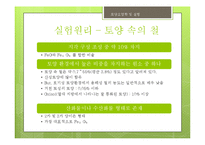 철(Fe) 분석 실험-7