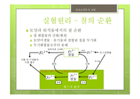 철(Fe) 분석 실험-8