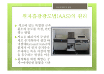 철(Fe) 분석 실험-10