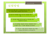 철(Fe) 분석 실험-19