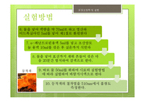 철(Fe) 분석 실험-20