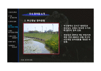 경마 산업의 문제점 및 개선방안-14