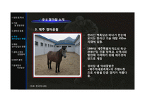 경마 산업의 문제점 및 개선방안-15