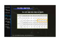 경마 산업의 문제점 및 개선방안-19