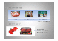 활성포장(Active Packaging) 적용과 기대효과-9
