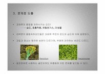 활성포장(Active Packaging) 적용과 기대효과-10