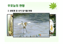우포늪의 보전과 관리유지 방안-6