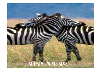 가사문학속 여성의 모습 고찰-9