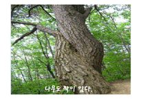 가사문학속 여성의 모습 고찰-10