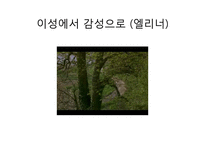 제인 오스틴 `이성과 감성(Sense and Sensibility)` 작품 요약-13