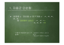 국어 음운 탈락-7