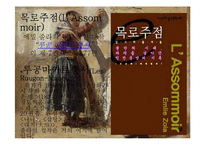 에밀졸라 `목로주점` 작품 연구-9