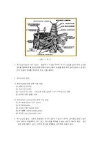 ■ 기타 개입방법(Team approach)-2