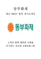 동부화재 영업 최신 BEST 합격 자기소개서!!!!-1