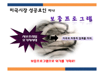 현대자동차 미국시장진출 마케팅 성공전략분석과 현대자동차 글로벌마케팅전략과 현대자동차 위기관리전략-12