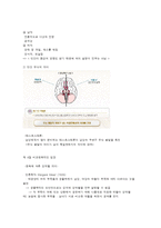 남녀의 심리사회적인 특징과 남성과 여성의 성 역할-5