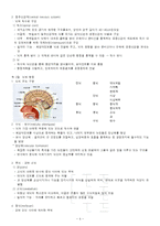 신경계의 정보전달과 중추신경계의 기능-4