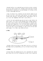 사회복지실천현장에서 개인을 대상으로 사회복지실천개입과정 절차에 기초하여 직접서비스를 한 실제사례를 반드시 다음 내용을 포함하여 작성하세요-3