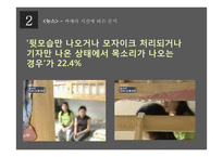 방송에서의 다문화 가족 분석-11