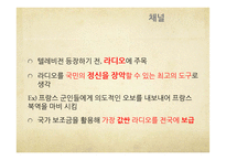 괴벨스 대중선동 연구-17