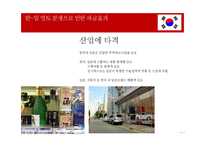 일본의 영토분쟁에 대하여-13