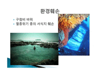 강정마을 해군기지화 찬반 논란-19