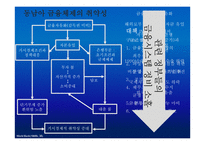 동남아의 구조조정과 개혁의 정치경제-5