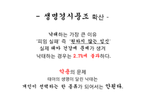 낙태 반대입장 레포트-13