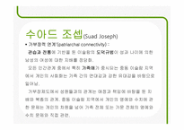 중동사회 여성문제와 해결책-16