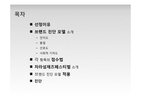 브랜드 진단 모델 적용, 분석 및 평가-자라섬 국제재즈페스티벌-2