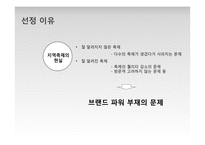 브랜드 진단 모델 적용, 분석 및 평가-자라섬 국제재즈페스티벌-3