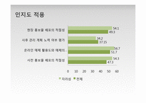 브랜드 진단 모델 적용, 분석 및 평가-자라섬 국제재즈페스티벌-13