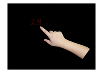 안락사에 대한 찬반 논란-5