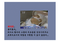 안락사에 대한 찬반 논란-14