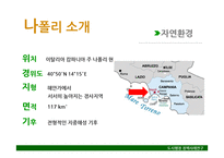나폴리의 쓰레기 문제 해결을 위한 도시행정 사례 연구-4